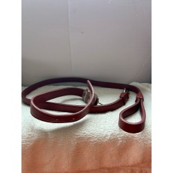 Collier et laisse cuire marron chaud  2ème main