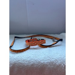 Collier et laisse orange à points blancs 2ème main