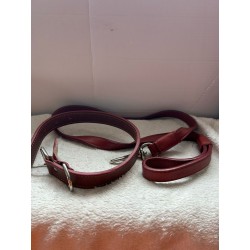 Collier et laisse marron 2ème main