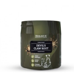 Holista - Griffe du diable 100gr