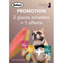 Glaces - Bubimex 2 achetées 1offerte