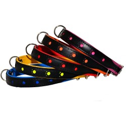 Collier réfléchissant "pattes"