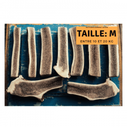 Bois de cerf pour chien tranché - taille M