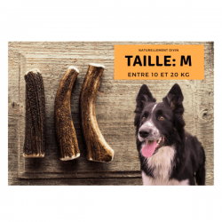 Bois de cerf pour chien entier - taille M