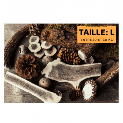 Bois de cerf pour chien tranché - taille L