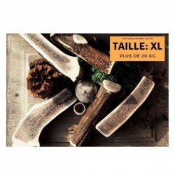 Bois de cerf pour chien tranché - taille XL