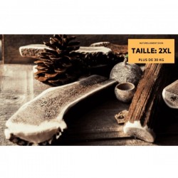 copy of Schweizer - Ramure à mâcher coupée en deux