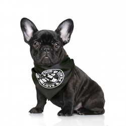 Bandana Max & Molly 25 x 13 cm