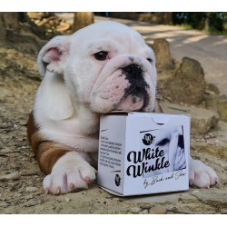 White Winkle - poudre magique