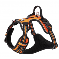 Truelove Country Plus orange