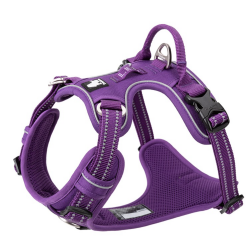 Truelove Country Plus purple