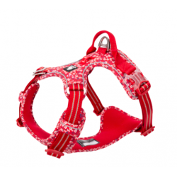 Truelove Country Plus flower poppy red