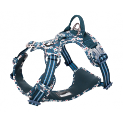 Truelove Country Plus flower saxony blue