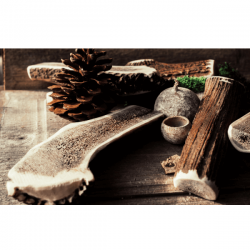 Bois de cerf pour chien entier - taille XL