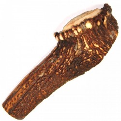 Bois de cerf pour chien entier - taille XXL