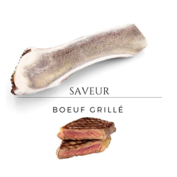 Bois de cerf aromatisé - saveur boeuf grillé - taille XL