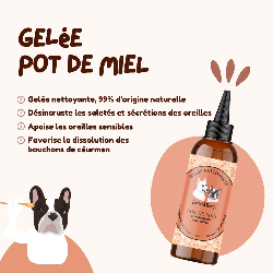 Dexter & Mango Gelée nettoyante Pot de miel