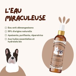 Dexter & Mango Eau miraculeuse anti-démangeaisons