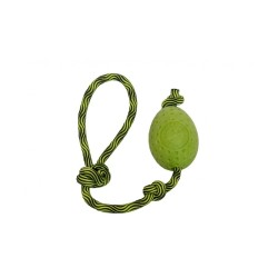 Kiwi Egg - Vert Maxi