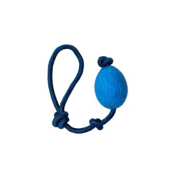 Kiwi Egg - Bleu Maxi