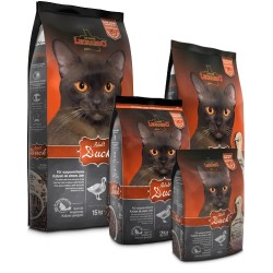 Leonardo - Adult Duck