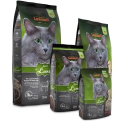 Leonardo - Adult Lamb