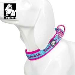 Collier Truelove avec bande réfléchissante Sky Blue/Fuchsia