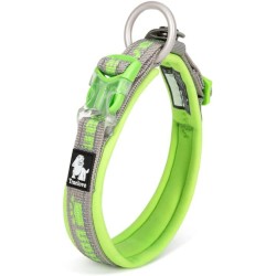 Collier Truelove avec tissus réfléchissant  Gray/Grass Green