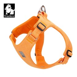 Truelove Recycled Pet Orange
