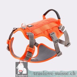 Truelove Escape proof dog harness Orange