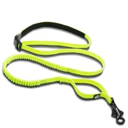 Laisse Truelove Bungee Leash Neon Yellow/Gray