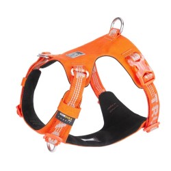 Truelove Ultra light Orange