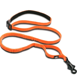 Laisse pour jogging et montagne Truelove orange