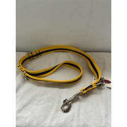 Grossenbacher Laisse Bordé 3 points 25mm x 1,60m Jaune - Noir