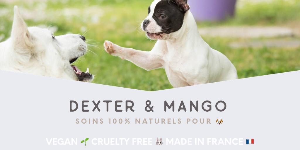 Dexter & Mango